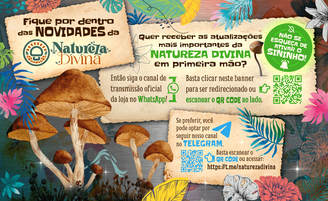Banner de divulgação dos canais de transmissão da Natureza Divina. Quer receber as atualizações mais importantes da Natureza Divina em primeira mão? Então siga o canal de transmissão oficial da loja no WhatsApp! Basta clicar neste banner para ser redireci