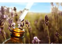 Onde comprar óleos essenciais de qualidade