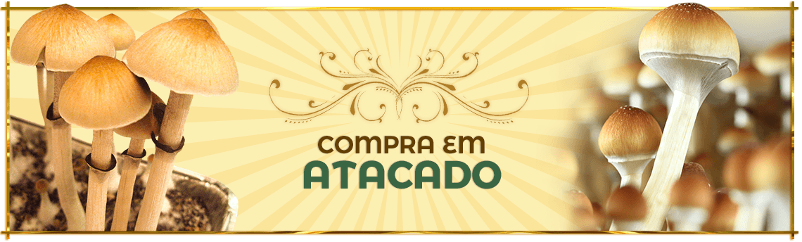 Atacado