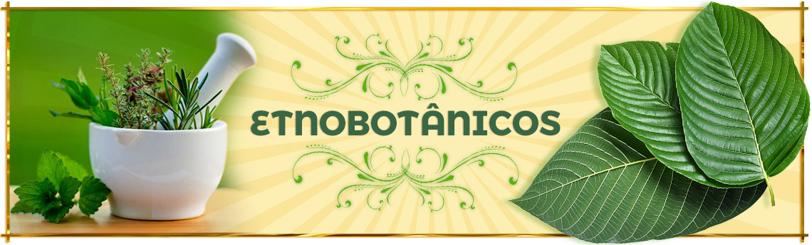 Etnobotânicos Etnobotânicos