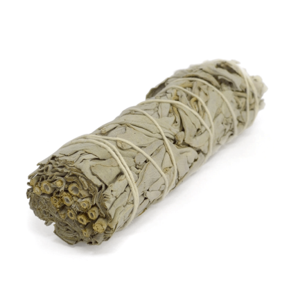Bastão de Sálvia-Branca (Salvia officinalis), com peso líquido de 50 gramas, amarrado por um barbante, visto de frente em um ângulo com fundo branco.