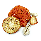 Três chapéus e dois caules desidratados, de tamanhos variados, do cogumelo Amanita muscaria, vistos de cima. Vendido pela Natureza Divina.