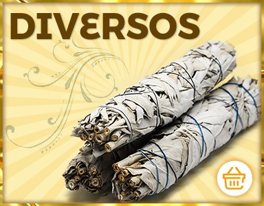 Botão de acesso à nossa página de Diversos.