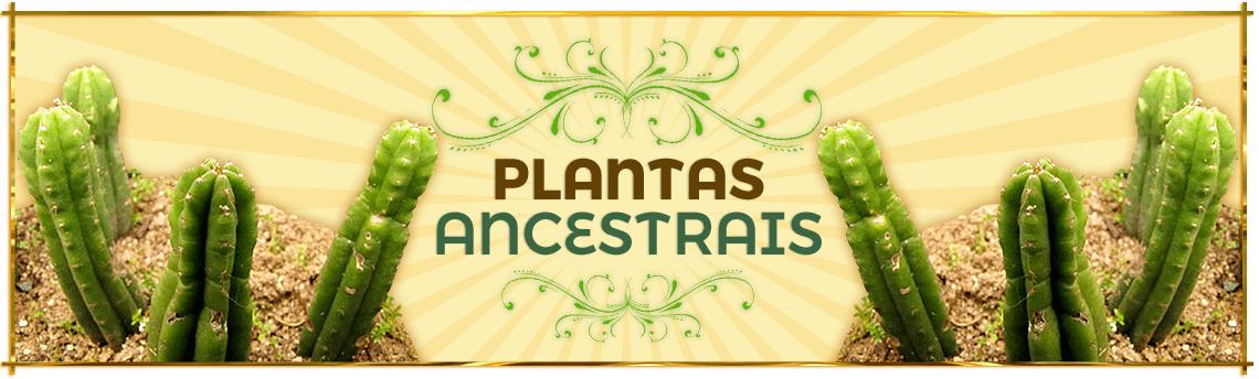 Plantas Ancestrais